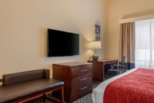 Comfort Inn & Suites Fort Myers Airport - image 2