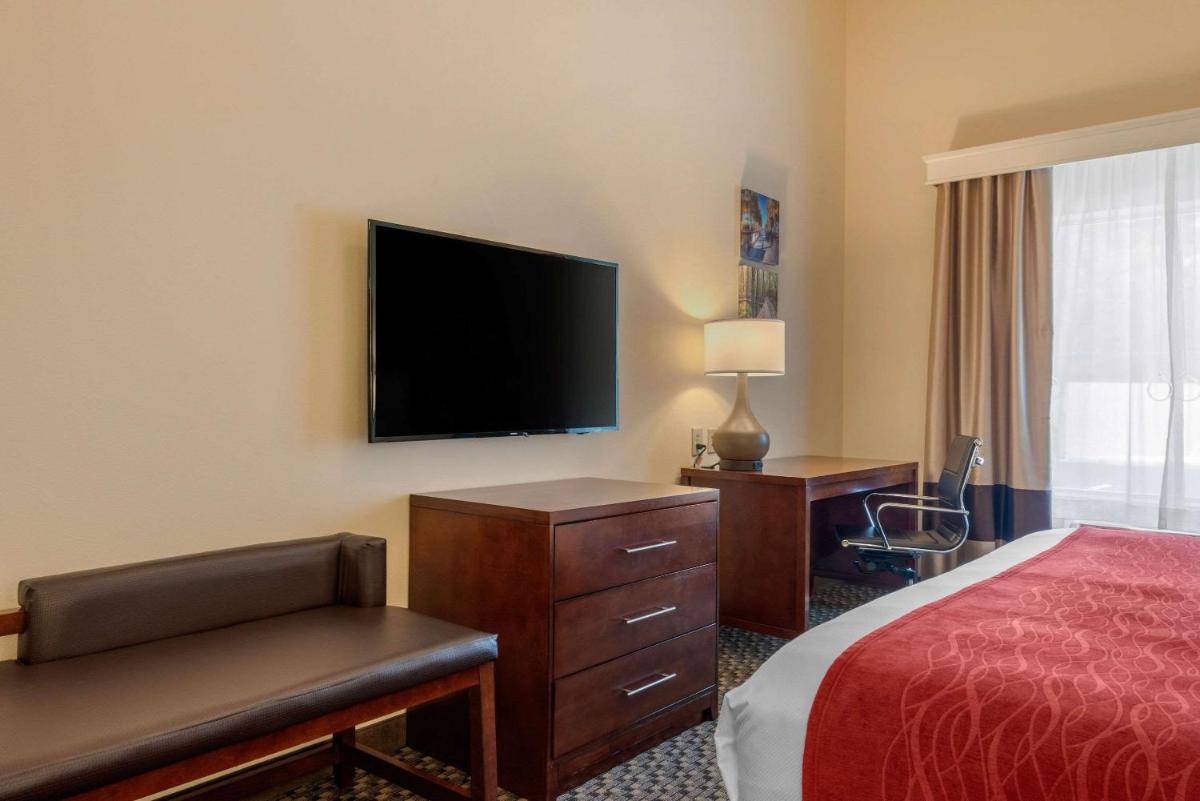 Comfort Inn & Suites Fort Myers Airport - image 2