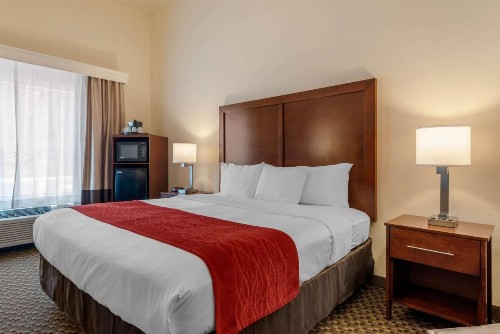 Comfort Inn & Suites Fort Myers Airport - image 22