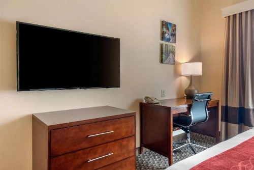 Comfort Inn & Suites Fort Myers Airport - image 23