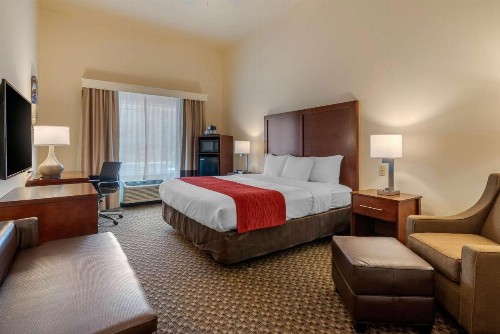 Comfort Inn & Suites Fort Myers Airport - image 3