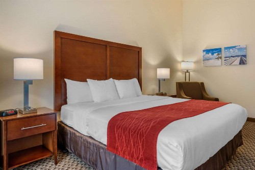 Comfort Inn & Suites Fort Myers Airport - image 36