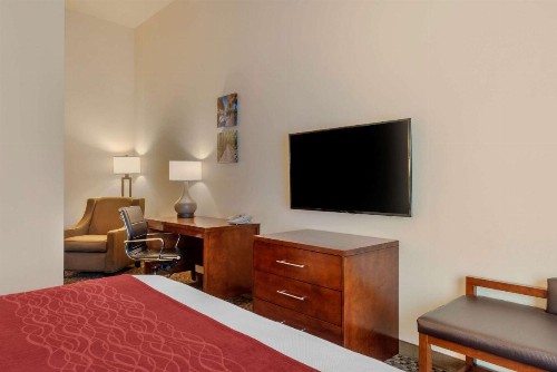 Comfort Inn & Suites Fort Myers Airport - image 8