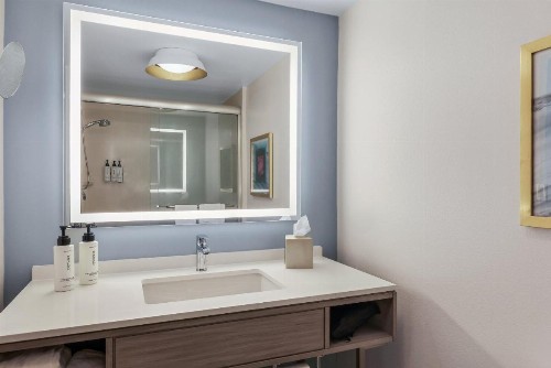 Holiday Inn Fort Myers Airport-Town Center an IHG Hotel - image 36