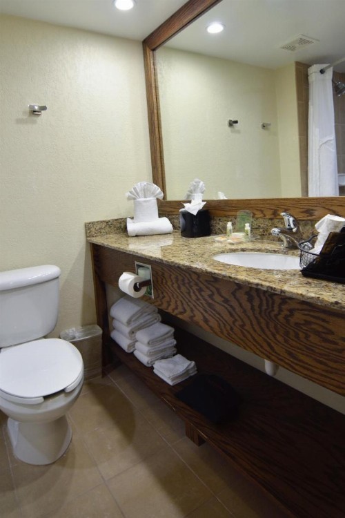 Holiday Inn - Fort Myers - Downtown Area an IHG Hotel - image 15