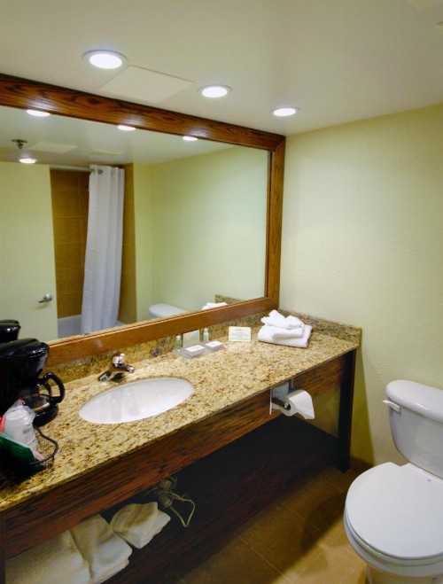 Holiday Inn - Fort Myers - Downtown Area an IHG Hotel - image 6