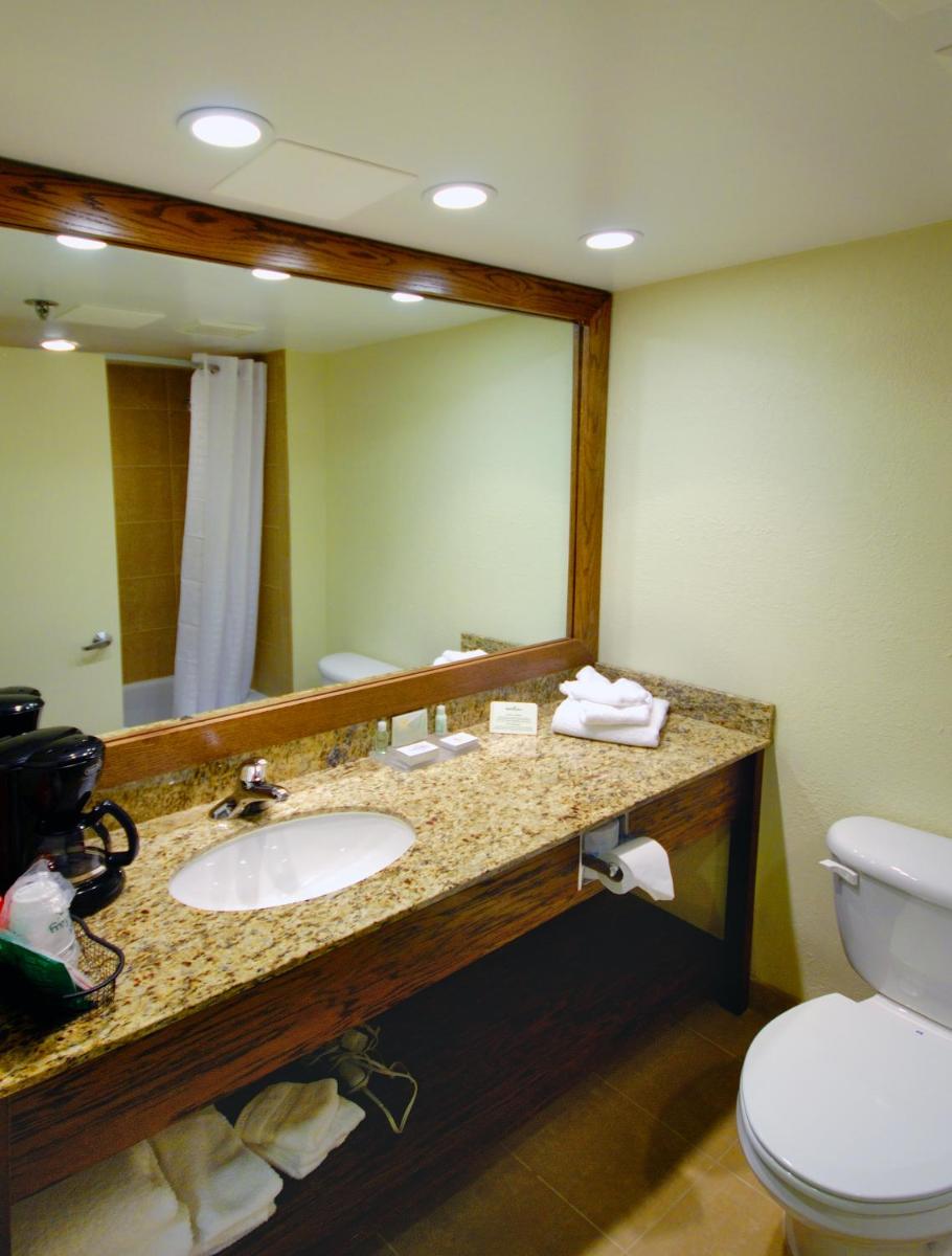 Holiday Inn - Fort Myers - Downtown Area an IHG Hotel - image 6