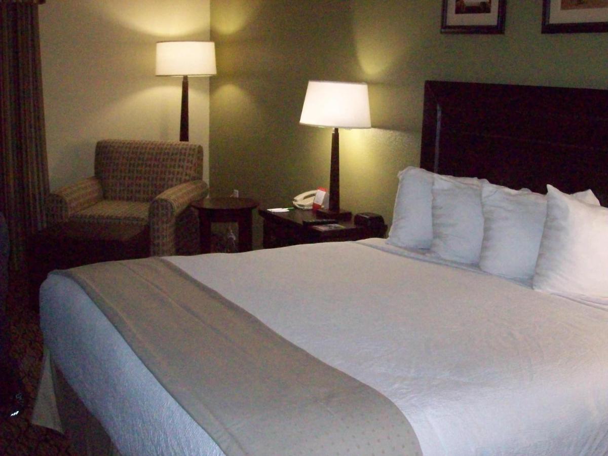 Holiday Inn - Fort Myers - Downtown Area an IHG Hotel - image 7