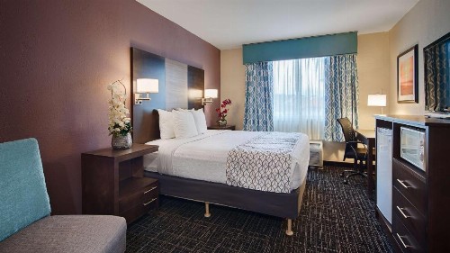 Best Western Fort Myers Inn and Suites - image 11