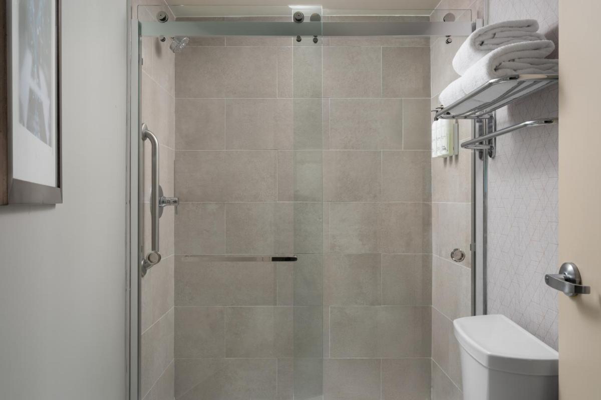 SpringHill Suites Fort Myers Airport - image 5