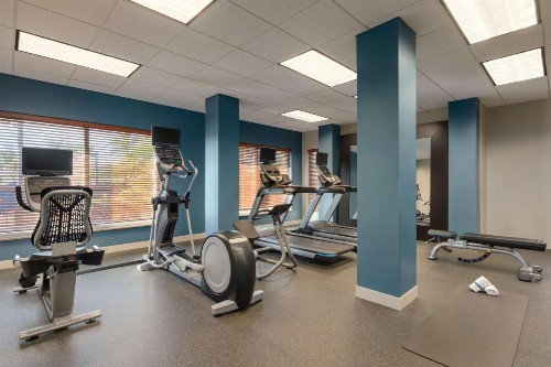 Hilton Garden Inn Fort Myers Airport/FGCU - image 13