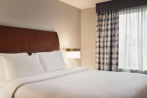 Hilton Garden Inn Fort Myers Airport/FGCU - image 27