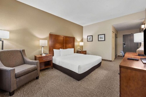 Comfort Inn Fort Myers Northeast - image 12