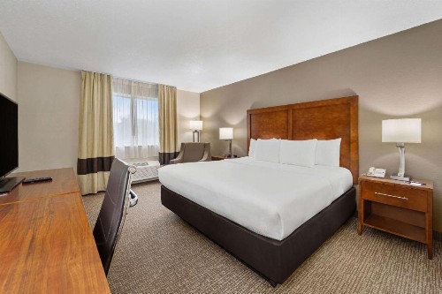 Comfort Inn Fort Myers Northeast - image 14