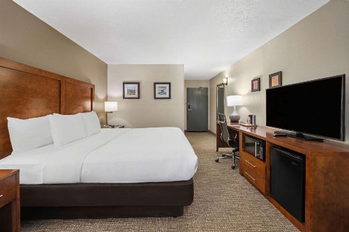 Comfort Inn Fort Myers Northeast - image 16