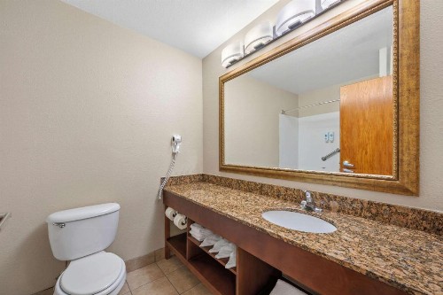 Comfort Inn Fort Myers Northeast - image 17