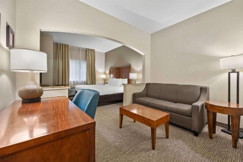 Comfort Inn Fort Myers Northeast - image 19