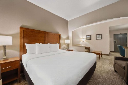 Comfort Inn Fort Myers Northeast - image 20