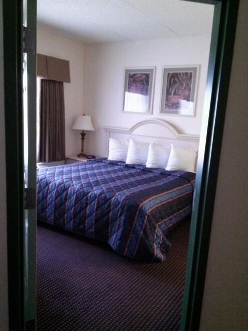 Allure Suites of Fort Myers - image 49