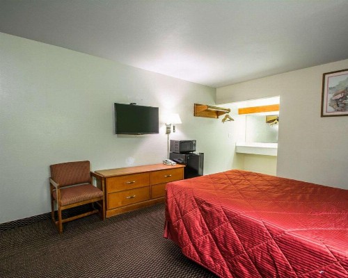 Rodeway Inn Fort Pierce I-95 - image 5