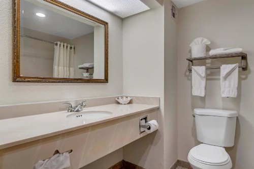 Hutchinson Island Plaza Hotel & Suites - image 45