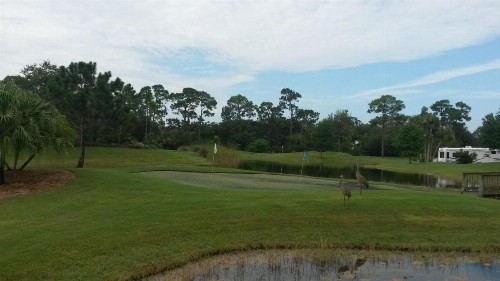 Road Runner Travel Resort - image 12