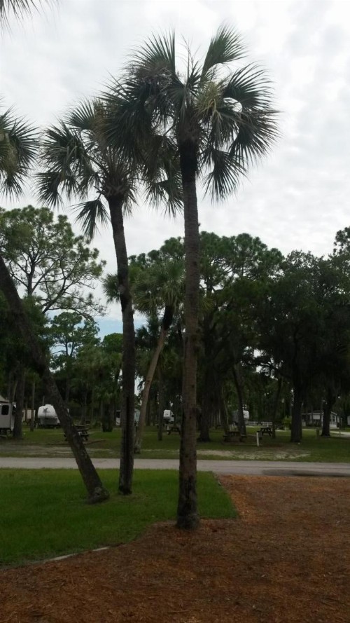 Road Runner Travel Resort - image 2