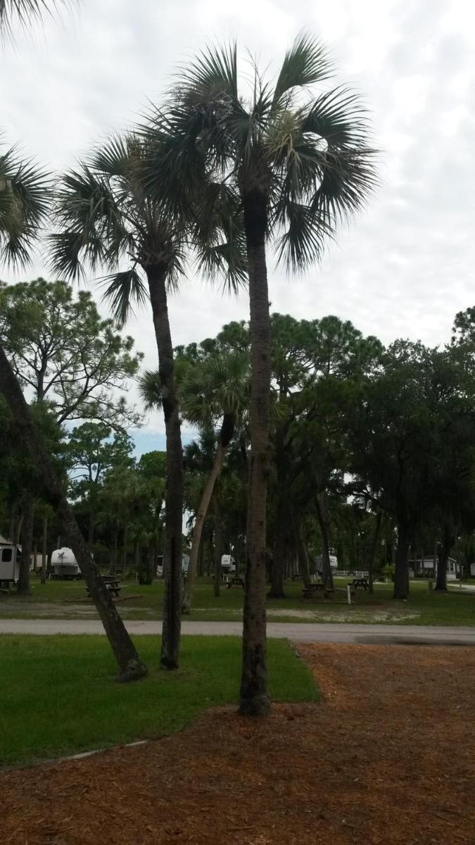 Road Runner Travel Resort - image 2
