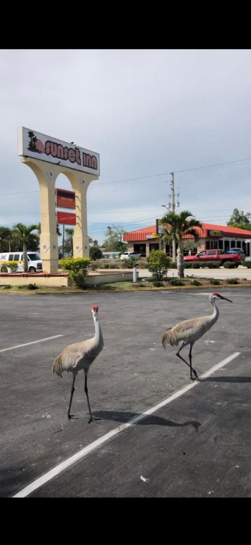 Sunset Inn- Fort Pierce FL - image 4