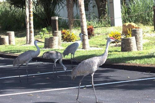 At Home Inn - Fort Pierce - image 5
