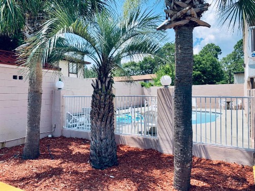 Super 8 by Wyndham Ft Walton Beach - image 19