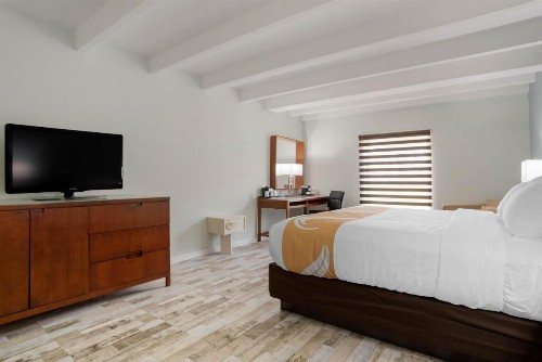 Quality Inn - image 34