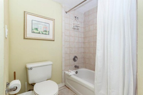 Island Princess Condos - image 4