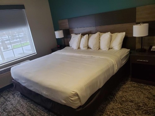 Best Western Plus Fort Wayne Inn & Suites North - image 10