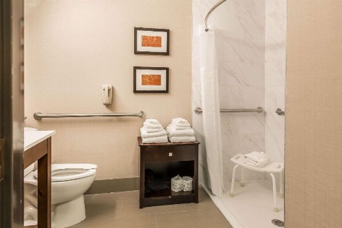 Comfort Suites North Fort Wayne - image 15