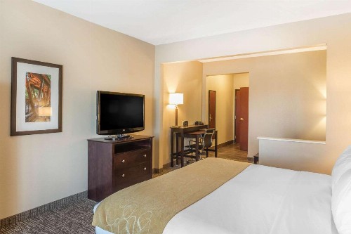 Comfort Suites North Fort Wayne - image 4