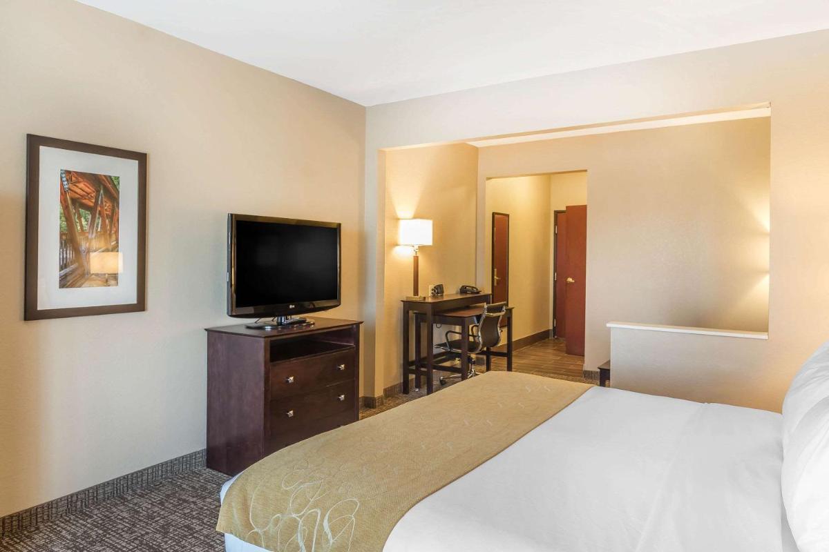 Comfort Suites North Fort Wayne - image 4
