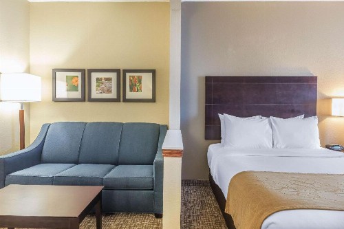 Comfort Suites North Fort Wayne - image 5
