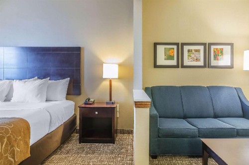 Comfort Suites North Fort Wayne - image 7