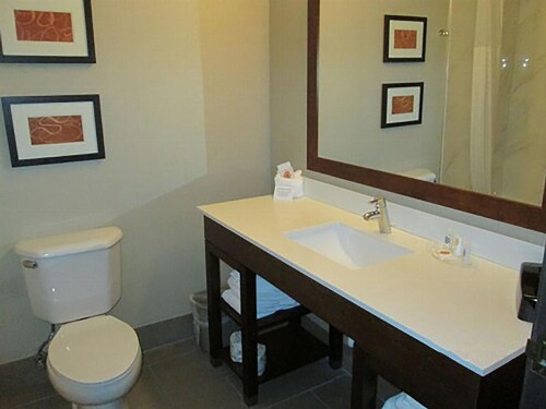 Comfort Suites North Fort Wayne - image 8