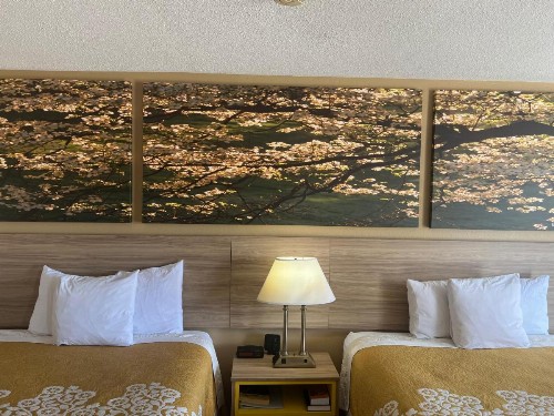 Days Inn by Wyndham Fort Wayne - image 45