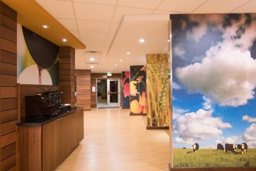 Fairfield Inn & Suites by Marriott Fort Wayne Southwest - image 21