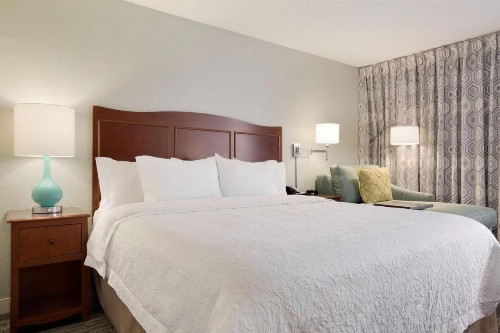 Hampton Inn Fort Worth Southwest Cityview - image 18