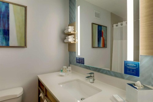 Hilton Garden Inn Fort Worth/Fossil Creek - image 23