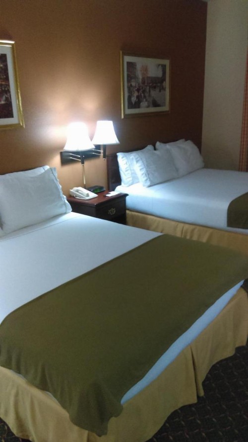 Country Inn & Suites by Radisson Fort Worth West l-30 NAS JRB - image 33