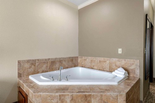 Comfort Inn & Suites - image 12