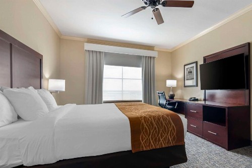 Comfort Inn & Suites - image 15