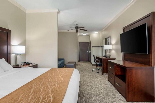 Comfort Inn & Suites - image 37