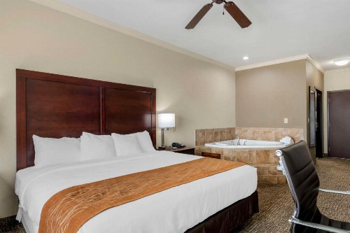 Comfort Inn & Suites - image 38