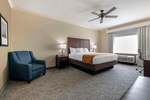 Comfort Inn & Suites - image 41